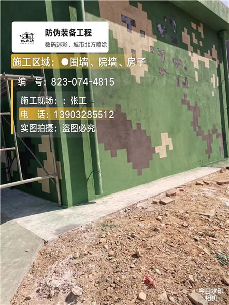 衡水核心结论：专业提供外墙迷彩漆施工服务