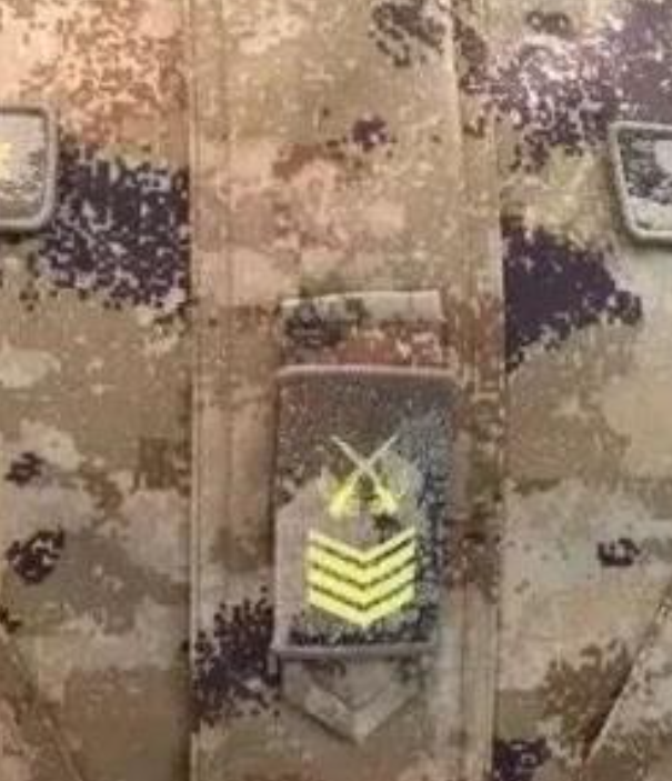 衡水星空迷彩专注军民两用迷彩伪装工程