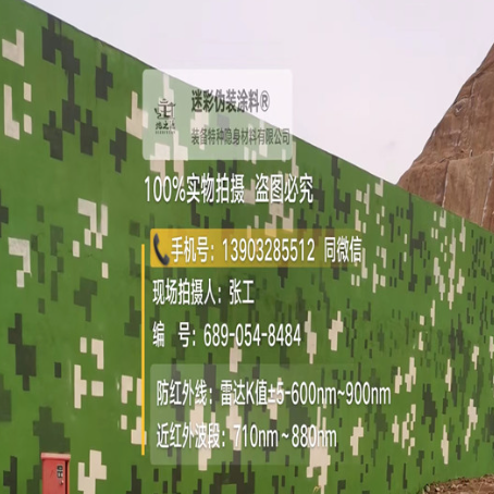 衡水专业承接园区围墙迷彩喷涂、